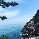 털털한코요테125