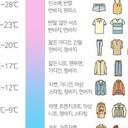 집요한푸들115