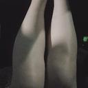 단아한관박쥐246