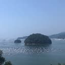 매너있는물소14