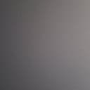 단호한바다사자152