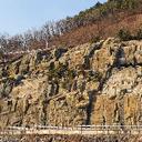 신기한물수리190