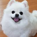 박식한할미새139