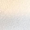붉은물수리193