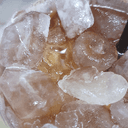 철저한사슴벌레197