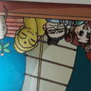 고결한오징어251