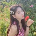 영악한메추리196