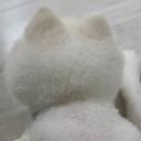 되알진극락조53