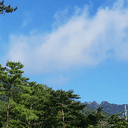 유쾌한메추리150