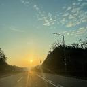 총명한해파리132