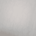 투명한숲제비281