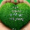되알진쿠스쿠스169