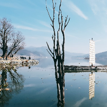 외로운코브라193