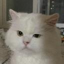 날렵한파리16