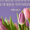 공정한얼룩말74