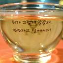 밝은강아지34
