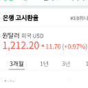 금쪽같은날다람쥐218