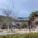 고요한게논176
