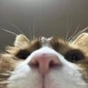 의젓한반딧불207