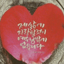 강력한고슴도치106
