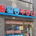 명랑한긴꼬리37