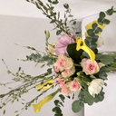 고마운흰죽지139