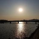 비범한칼새295