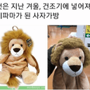 깨끗한저어새96