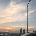 한결같은직박구리296