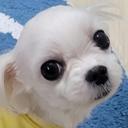 늘씬한발발이57