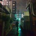 단아한참매54