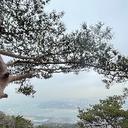 화려한바다표범39