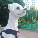 고상한황로67