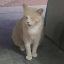 외로운앙마