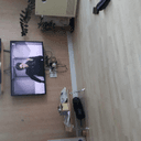 흡족한다람쥐30