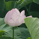 착실한애벌래53