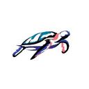 투명한독수리118