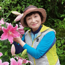 되알진반딧불226