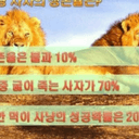하쿠나마타타2