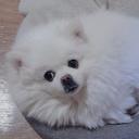 러블리한후루티96