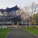 침착한무당벌레89
