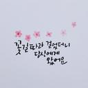 배고픈딱따구리131
