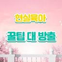 철저한가재53