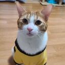 수줍은까마귀268