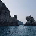 날렵한할미새295