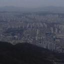 성실한가재80