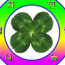 신속한검은꼬리153