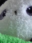 쟈어유