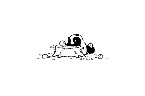 담대한너구리