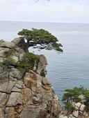 정의사회구역